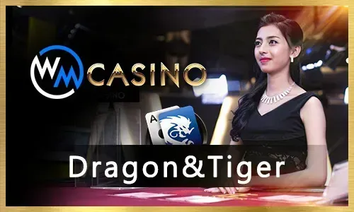 Latest TAYA365 Slot game releases